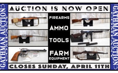 Firearm and Ammunition Auction